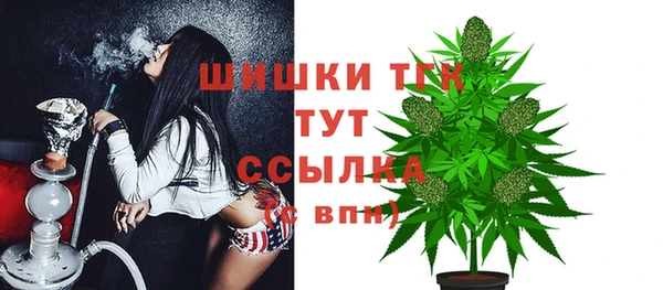 МДПВ Осинники