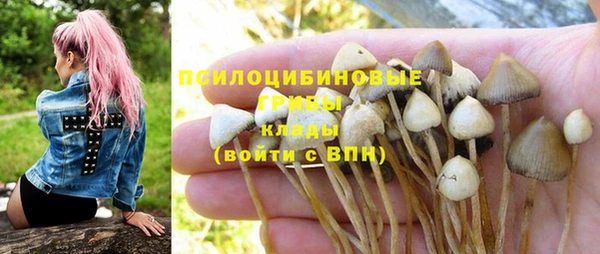 MESCALINE Пересвет
