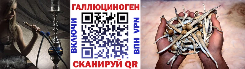 купить закладку  Зима  Галлюциногенные грибы мицелий 