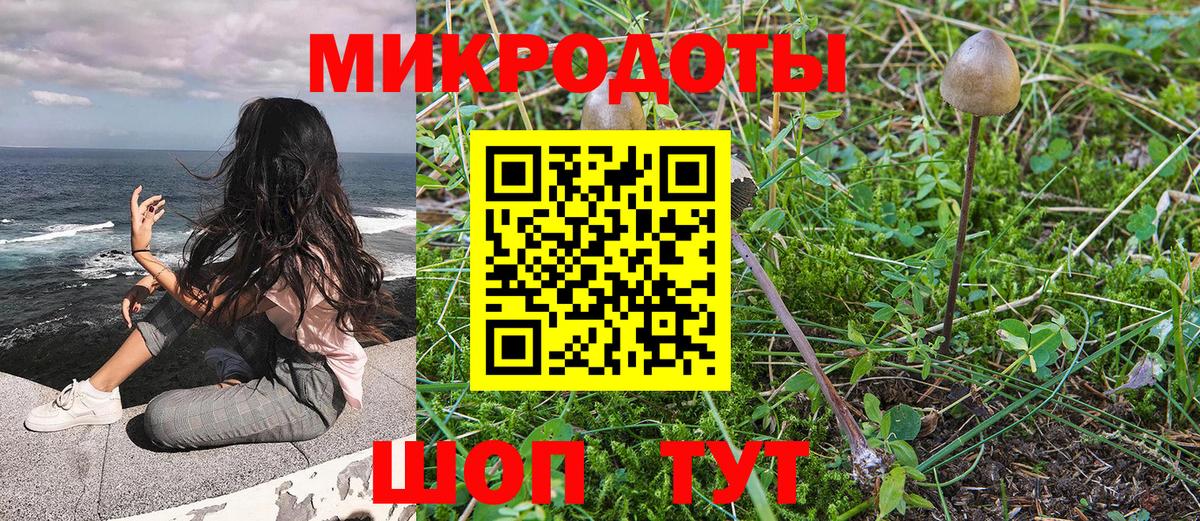 Галлюциногенные грибы Cubensis  Зима 