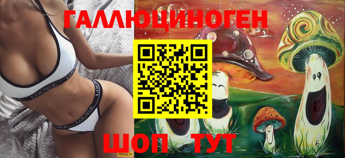 Галлюциногенные грибы Cubensis Зима